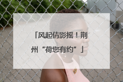 风起倩影摇！荆州“荷您有约”